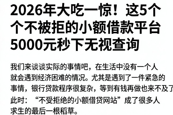 2026年大吃一惊!这5个不被拒的小额借款平台,5000元秒下无视查询