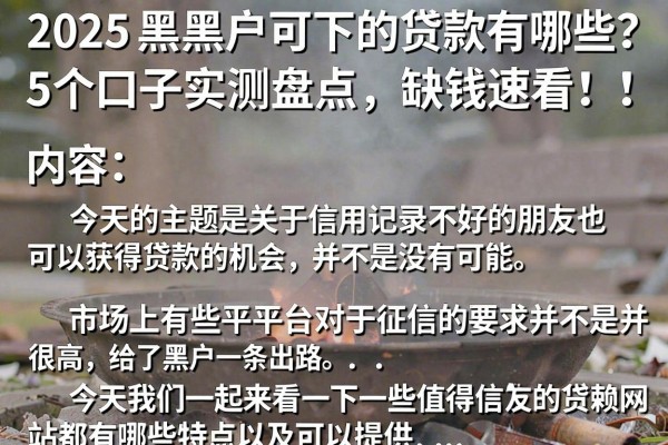 2025黑户可下的贷款有哪些？5个口子实测盘点，缺钱速看！