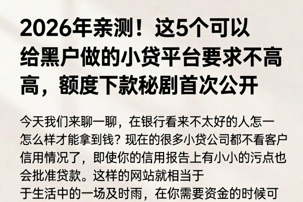 2026年亲测!这5个可以给黑户做的小贷平台要求不高,高额度下款秘籍首次公开