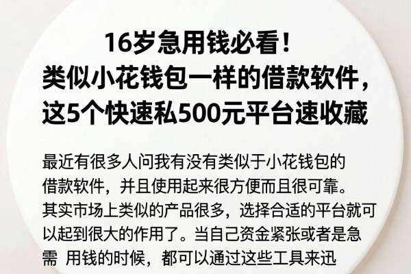 16岁急用钱必看！类似小花钱包一样的借款软件，这5个快速私人借钱500元平台速收藏