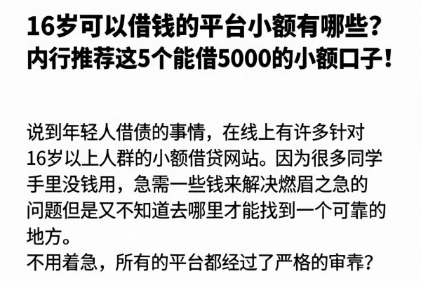 16岁可以借钱的平台小额有哪些?内行推荐这5个能借5000的小额口子!