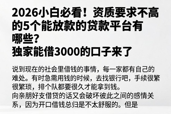 2026小白必看!资质要求不高的5个能放款的贷款平台有哪些?独家能借3000的口子来了