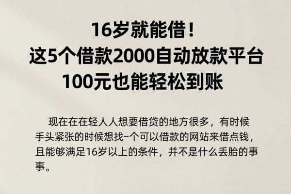 16岁就能借！这5个借款2000自动放款平台，100元也能轻松到账