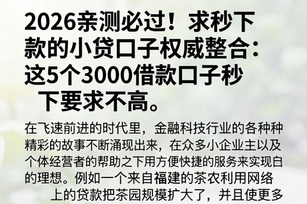 2026亲测必过!求秒下款的小贷口子权威整合:这5个3000借款口子秒下要求不高