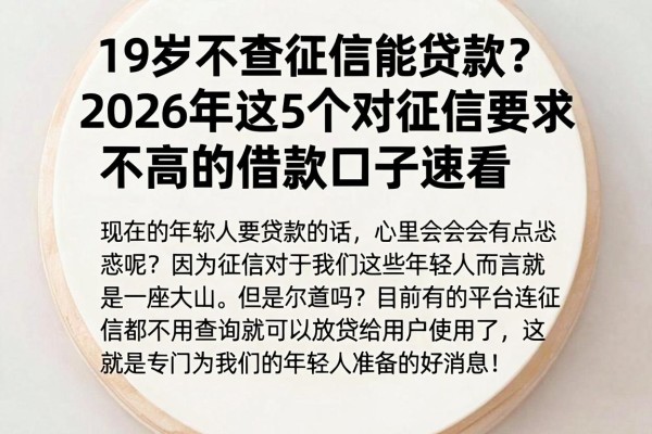 19岁不查征信能贷款?2026年这5个对征信要求不高的借款口子速看