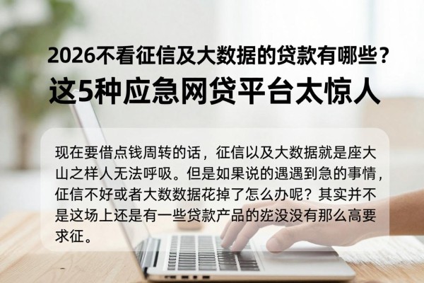 2026不看征信及大数据的贷款有哪些?这5种应急网贷平台太惊人