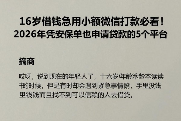 16岁借钱急用小额微信打款必看!2026年凭平安保单也能申请贷款的5个平台