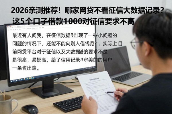 2026亲测推荐!哪家网贷不看征信大数据记录?这5个口子借款1000对征信要求不高