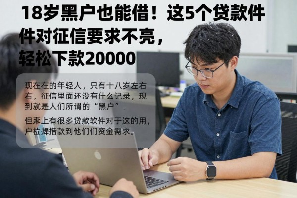 18岁黑户也能借！这5个贷款软件对征信要求不高，轻松下款20000