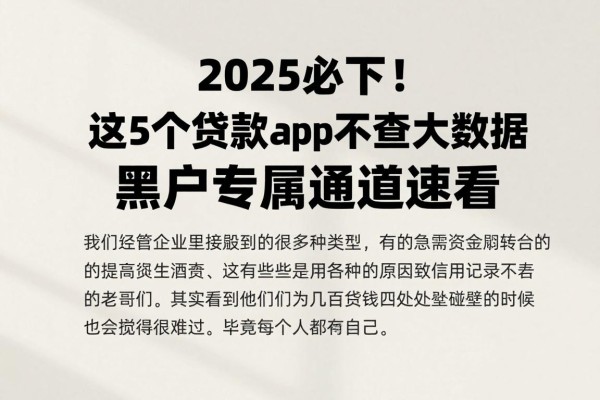 2025必下!这5个贷款app不查征信大数据,黑户专属通道速看