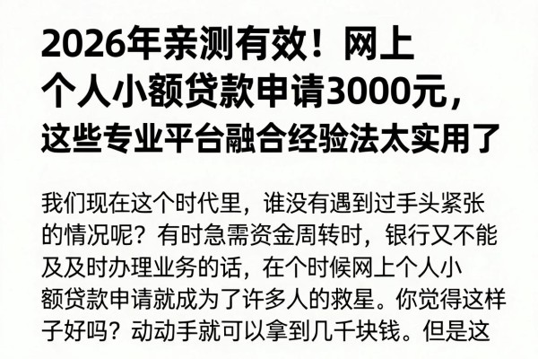 2026年亲测有效!网上个人小额贷款申请3000元,这些专业平台融合经验法太实用了