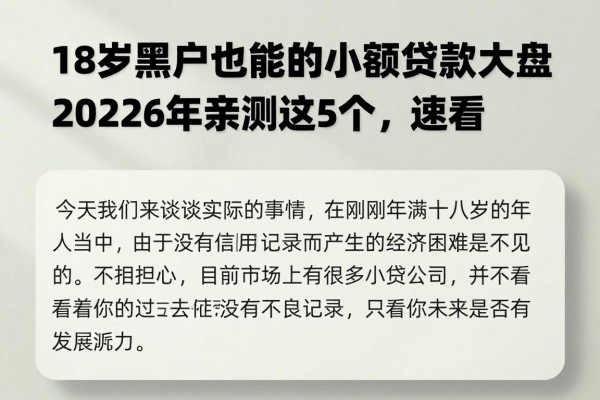 18岁黑户也能申请的小额贷款大盘点！2026年亲测这5个，速看