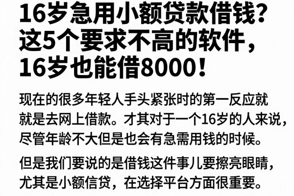 16岁急用小额贷款借钱?这5个要求不高的软件,16岁也能借8000!