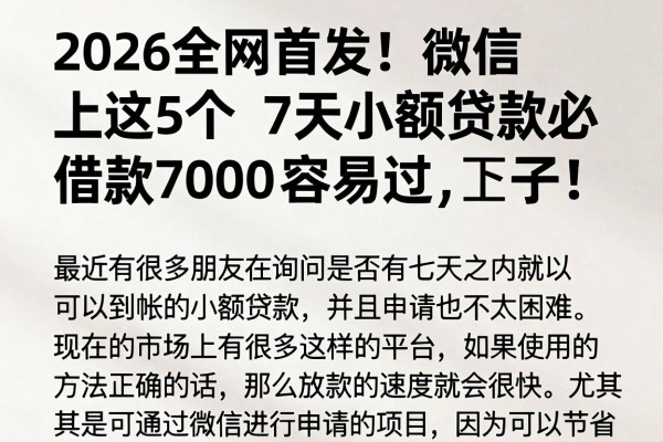 2026全网首发！微信上这5个7天小额贷款必下口子，借款7000容易过