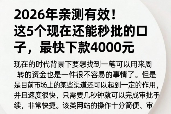 2026年亲测有效！这5个现在还能秒批的口子，最快下款4000元