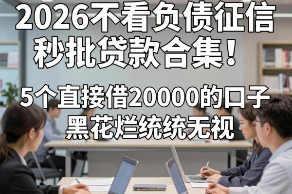 2026不看负债征信秒批贷款合集!5个直接借20000的口子,黑花烂统统无视