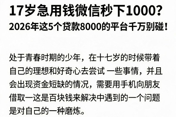 17岁急用钱微信秒下1000？2026年这5个贷款8000的平台千万别碰！