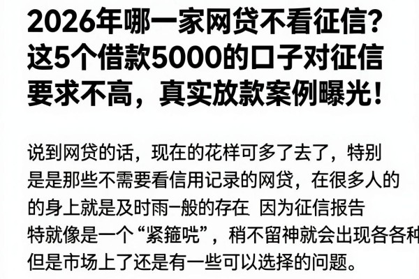 2026年哪一家网贷不看征信?这5个借款5000的口子对征信要求不高,真实放款案例曝光!