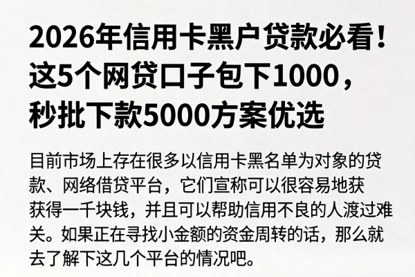 2026年信用卡黑户贷款必看!这5个网贷口子包下1000,秒批下款5000方案优选