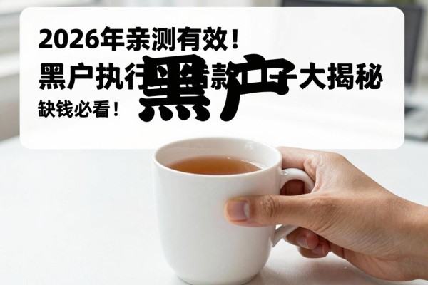2026年亲测有效！黑户被执行人借款口子大揭秘，缺钱必看！