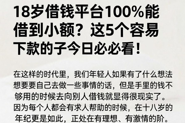 18岁借钱平台100%能借到小额?这5个容易下款的口子今日必看!