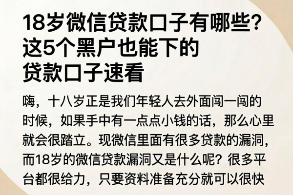 18岁微信贷款口子有哪些？这5个黑户也能下的贷款口子速看