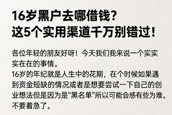 16岁黑户去哪借钱?这5个实用渠道千万别错过!