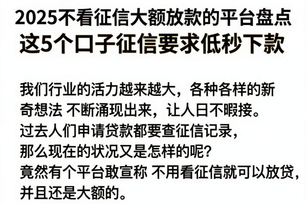 2025不看征信大额放款的平台盘点,这5个口子征信要求低秒下款