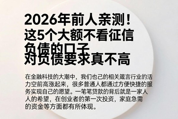 2026年前人亲测!这5个大额不看征信负债的口子,对负债要求真不高
