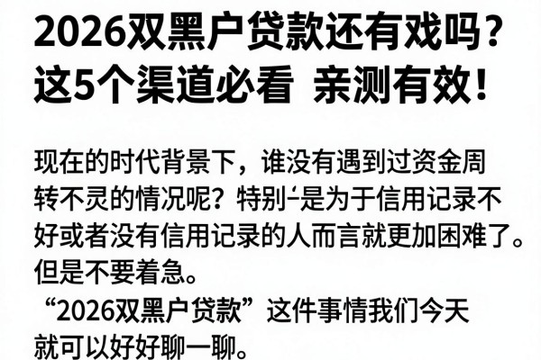2026双黑户贷款还有戏吗？这5个渠道必看，亲测有效！