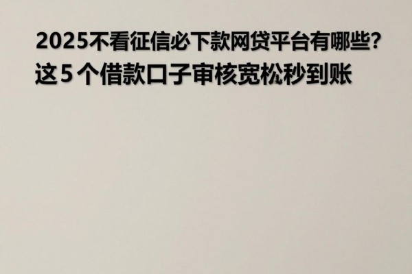 2025不看征信必下款的网贷平台有哪些？这5个借款口子审核宽松秒到账