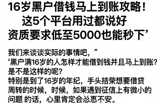 16岁黑户借钱马上到账攻略!这5个平台用过都说好,资质要求低至5000也能秒下