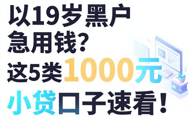 19岁黑户急用钱?这5类1000元小贷口子速看!