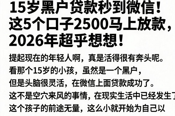 15岁黑户贷款秒到微信!这5个口子2500马上放款,2026年超乎想象!