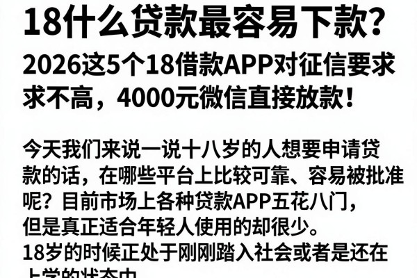 18什么贷款最容易下款?2026这5个18借款APP对征信要求不高,4000元微信直接放款!