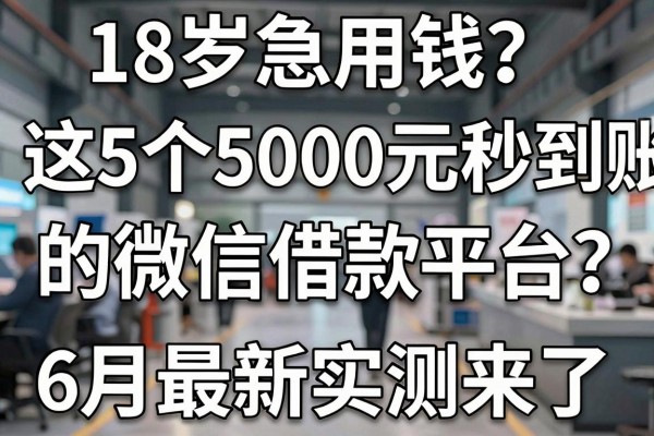 18岁急用钱？这5个5000元秒到账的微信借款平台，6月最新实测来了
