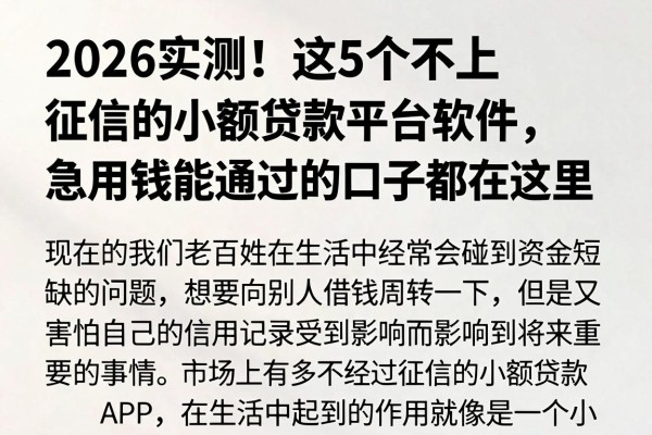 2026实测!这5个不上征信的小额贷款平台软件,急用钱能通过的口子都在这里