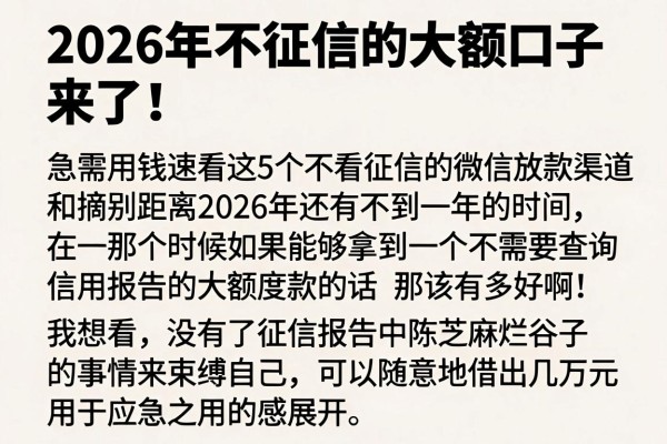 2026年不征信的大额口子来了！急需用钱速看这5个不看征信的微信放款渠道