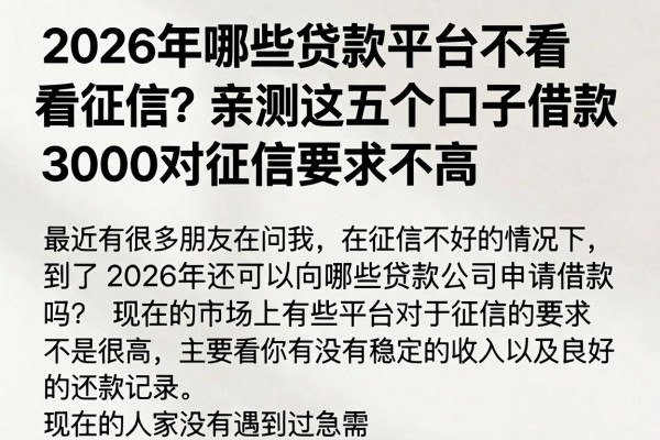 2026年哪些贷款平台不看征信？亲测这五个口子借款3000对征信要求不高