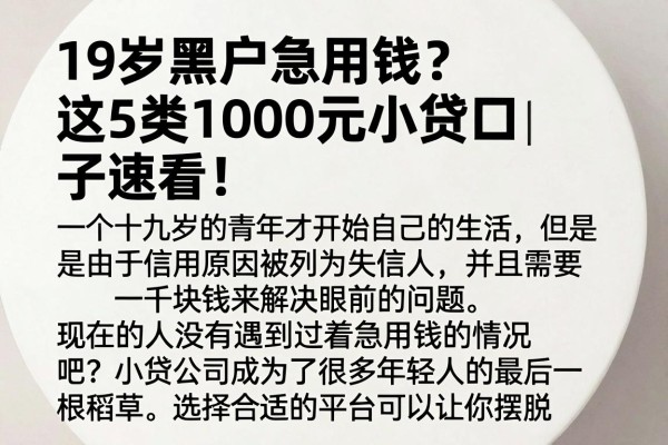 19岁黑户急用钱?这5类1000元小贷口子速看!
