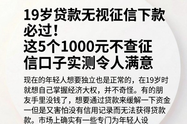 19岁贷款无视征信下款必过!这5个1000元不查征信口子实测令人满意