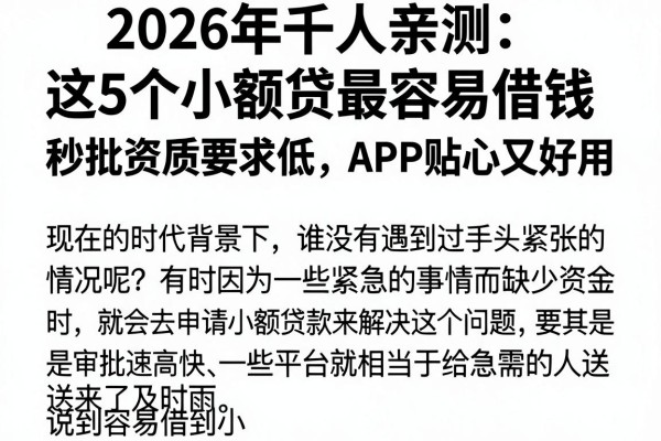 2026年千人亲测:这5个小额贷最容易借钱,秒批资质要求低,APP贴心又好用