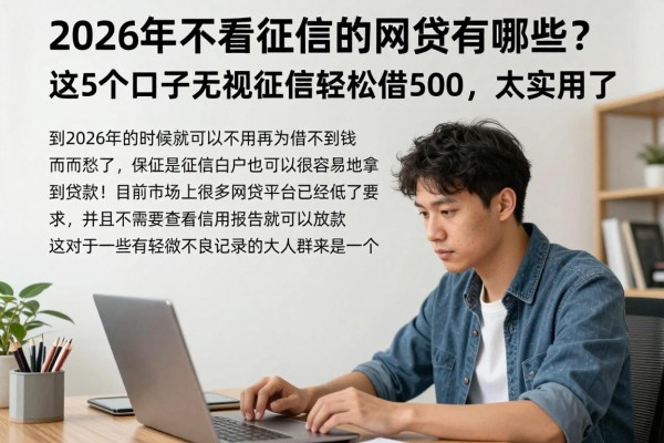 2026年不看征信的网贷有哪些?这5个口子无视征信轻松借5000,太实用了