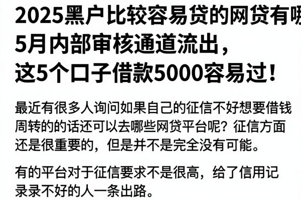 2025黑户比较容易贷的网贷有哪些?5月内部审核通道流出,这5个口子借款5000容易过!