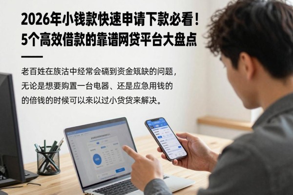 2026年小额贷款快速申请下款必看！5个高效借款的靠谱网贷平台大盘点