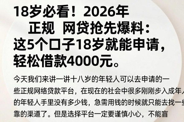 18岁必看！2026年正规网贷抢先爆料：这5个口子18岁就能申请，轻松借款4000元