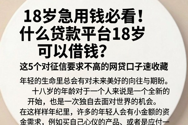 18岁急用钱必看！什么贷款平台18岁可以借钱？这5个对征信要求不高的网贷口子速收藏