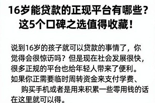16岁能贷款的正规平台有哪些？这5个口碑之选值得收藏！
