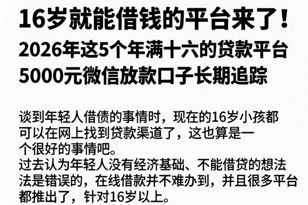 16岁就能借钱的平台来了！2026年这5个年满十六的贷款平台，5000元微信放款口子长期追踪