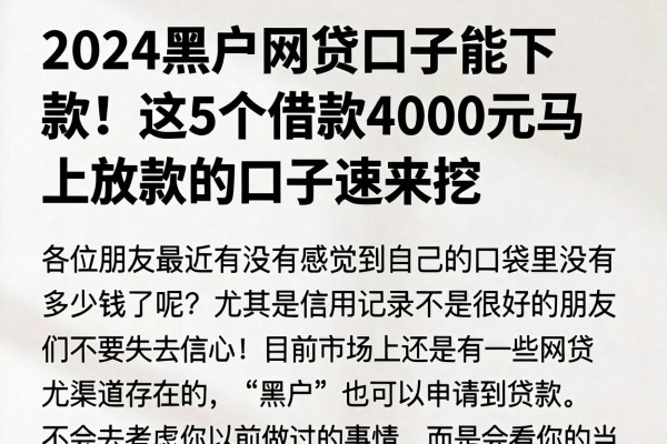 2024黑户网贷口子能下款!这5个借款4000元马上放款的口子速来挖